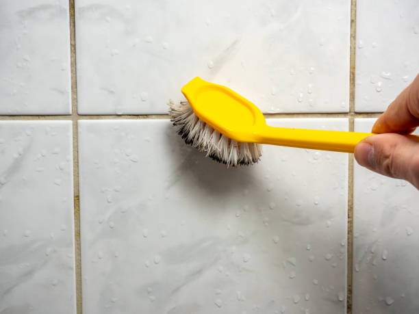  Badieville, LA Mold Removal Pros