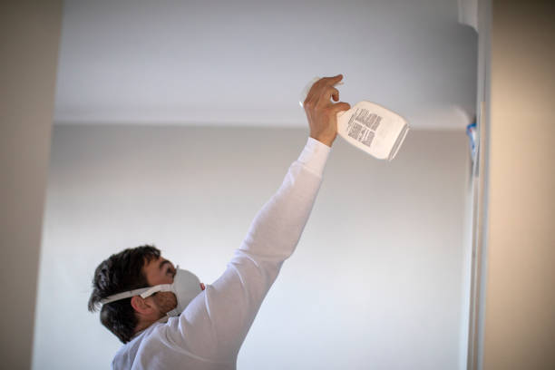 Best Local Mold Removal Service  in Badieville, LA