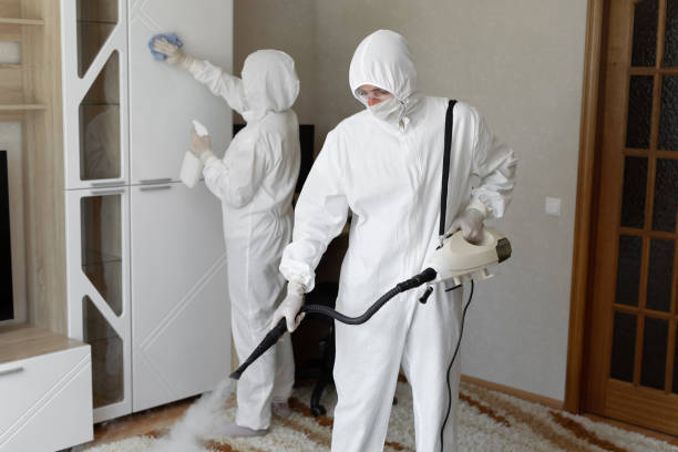 Best Attic Mold Removal  in Badieville, LA