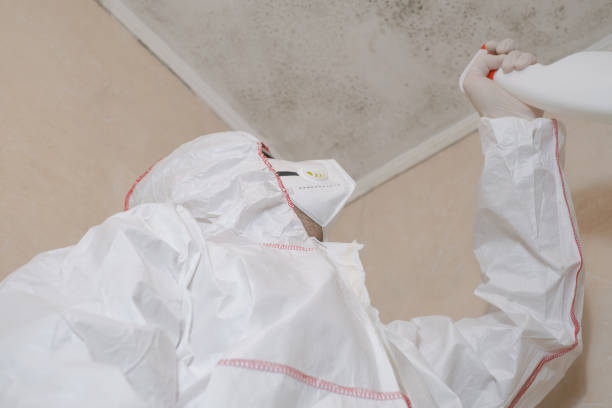 Best Crawl Space Mold Removal  in Badieville, LA